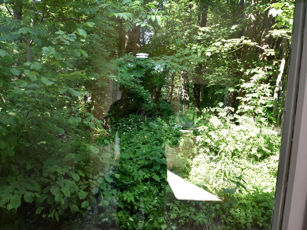 Bungalow In The Harz Mountains With Terrace 艾波英罗德 外观 照片